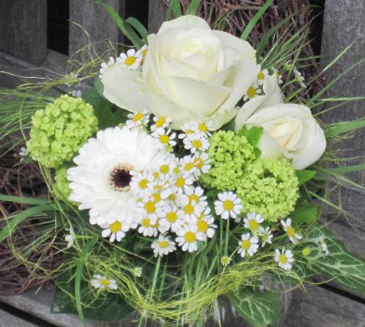 Wildkraut Natürlich Blumig - Floristik Lahr Kippenheim