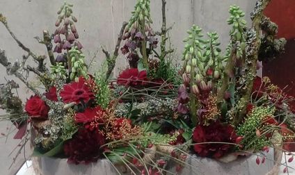 Wildkraut Natürlich Blumig - Floristik Lahr Kippenheim