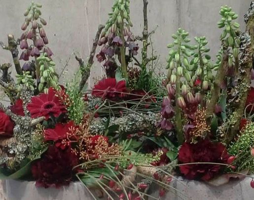 Wildkraut Natürlich Blumig - Floristik Lahr Kippenheim